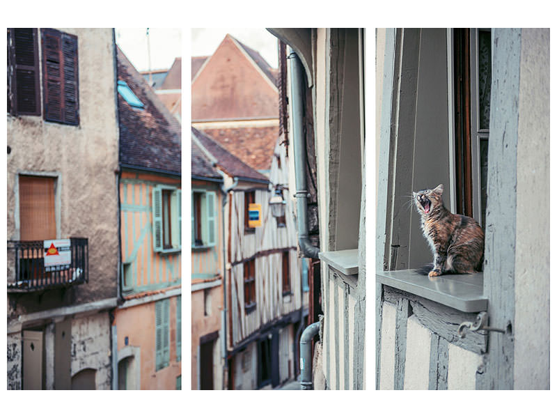 4-piece-canvas-print-territory
