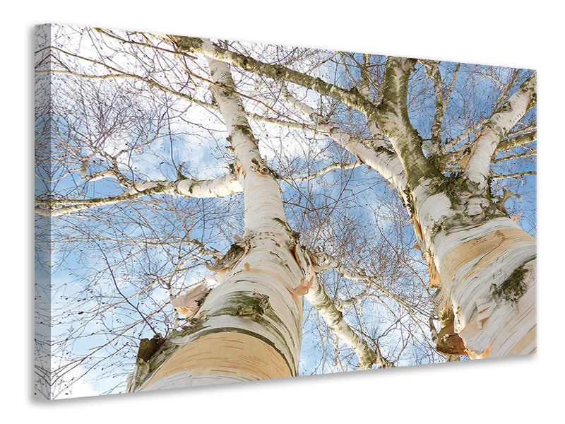3-piece-canvas-print-the-2-birches