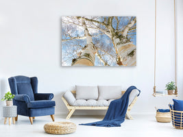 3-piece-canvas-print-the-2-birches