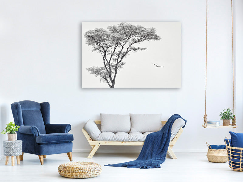 5-piece-canvas-print-the-african-eagle
