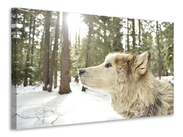 3-piece-canvas-print-the-alaskan-malamute