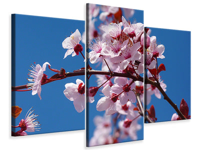 canvas-print-the-almond-blossom