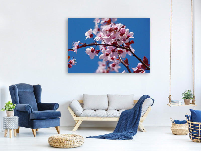 4-piece-canvas-print-the-almond-blossom