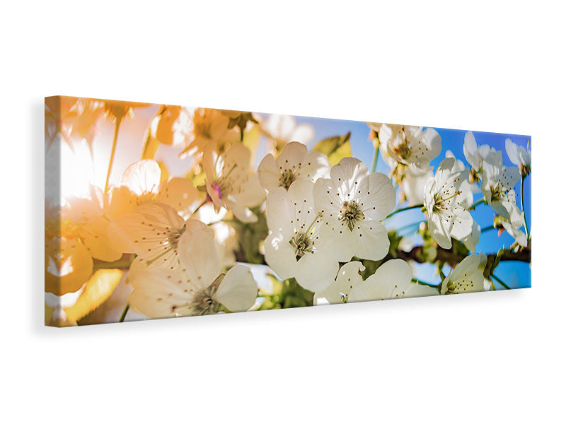 3-piece-canvas-print-the-apple-tree-blossom