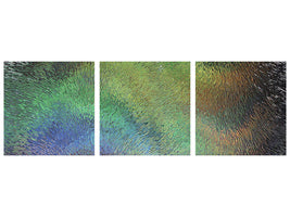 panoramic-canvas-print-the-art-behind-the-glass