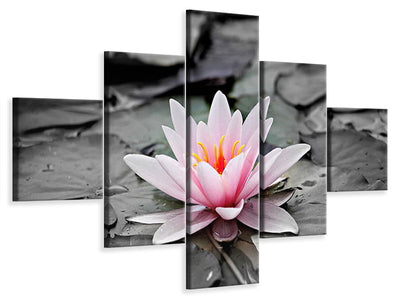 4-piece-canvas-print-the-art-of-water-lily