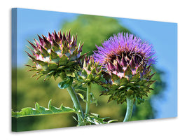 5-piece-canvas-print-the-artichoke-xl