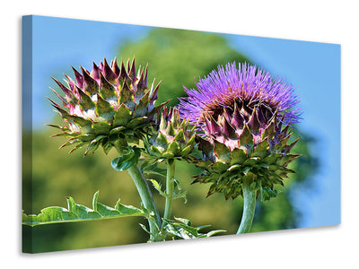 5-piece-canvas-print-the-artichoke-xl