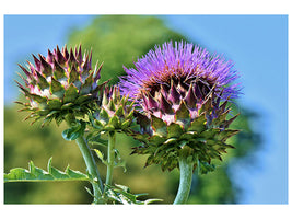 modern-4-piece-canvas-print-the-artichoke-xl