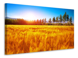 modern-4-piece-canvas-print-the-autumn