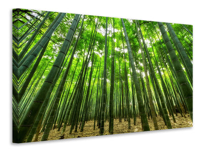 4-piece-canvas-print-the-bamboo-forest