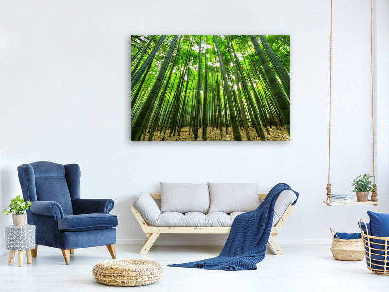 4-piece-canvas-print-the-bamboo-forest