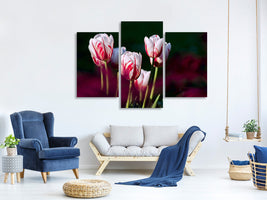 canvas-print-the-beauty-of-the-tulips