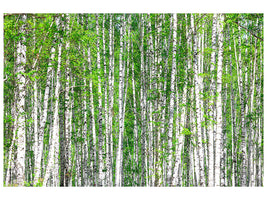 5-piece-canvas-print-the-birch-forest
