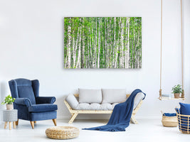 modern-3-piece-canvas-print-the-birch-forest