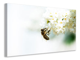 4-piece-canvas-print-the-bumblebee-and-the-flower