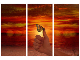 canvas-print-the-butterfly-in-the-evening-light