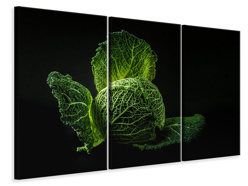 canvas-print-the-cabbage