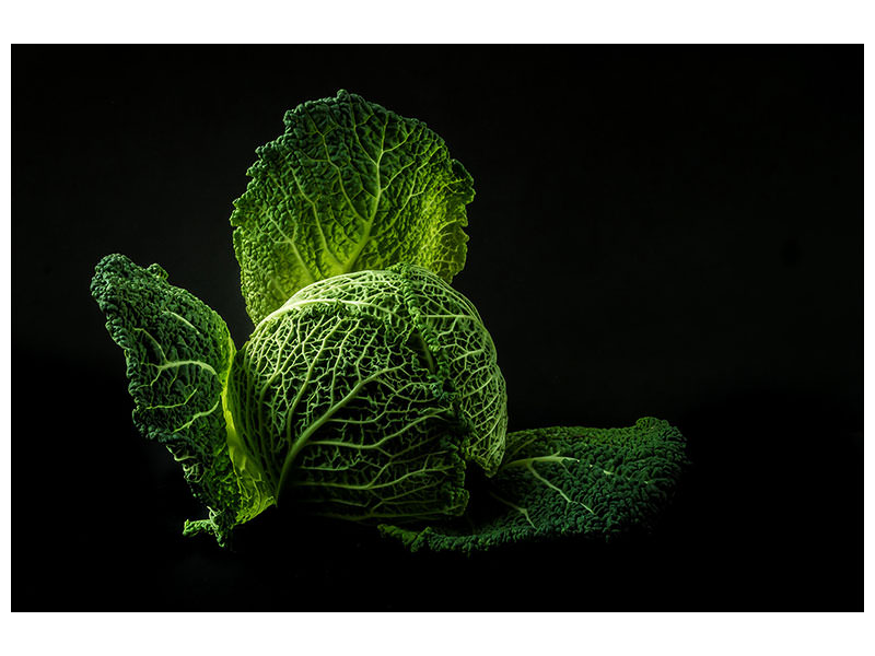 modern-4-piece-canvas-print-the-cabbage