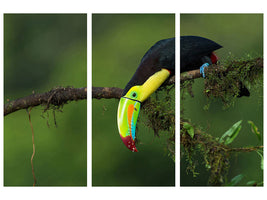 5-piece-canvas-print-the-colors-of-costa-rica