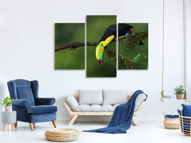 5-piece-canvas-print-the-colors-of-costa-rica