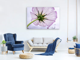 modern-3-piece-canvas-print-the-cosmos-flower