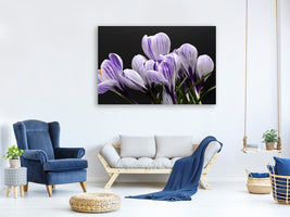 5-piece-canvas-print-the-crocus