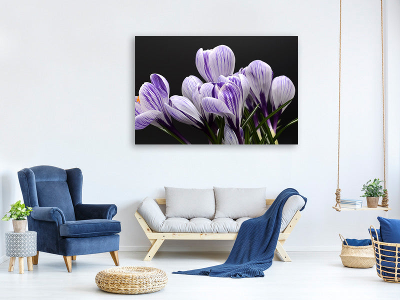 3-piece-canvas-print-the-crocus