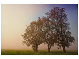 3-piece-canvas-print-the-crooked-tree