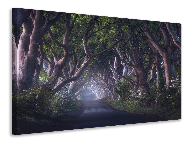 modern-4-piece-canvas-print-the-dark-hedges