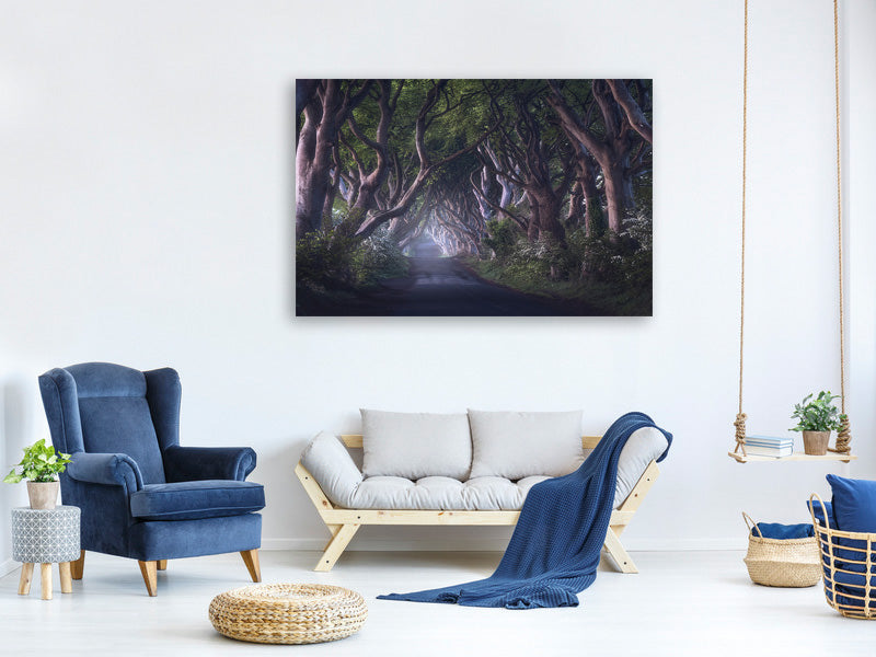 modern-4-piece-canvas-print-the-dark-hedges