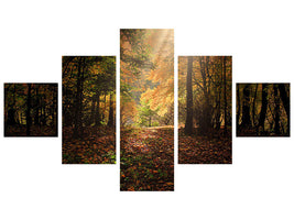3-piece-canvas-print-the-deciduous-forest