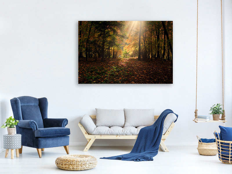 3-piece-canvas-print-the-deciduous-forest
