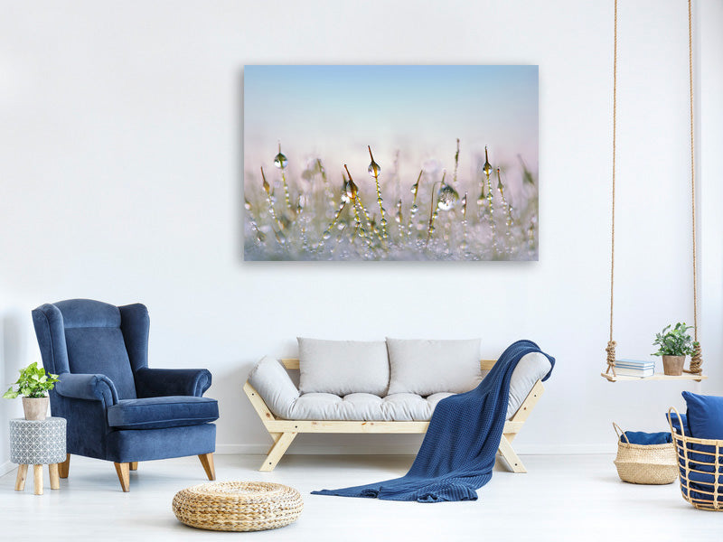 modern-4-piece-canvas-print-the-dew-drops