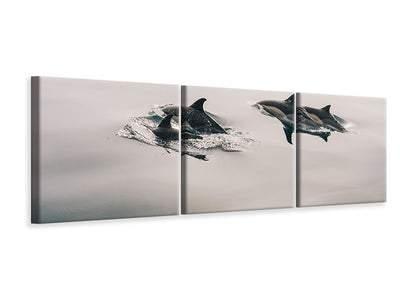 panoramic-canvas-print-the-dolphins