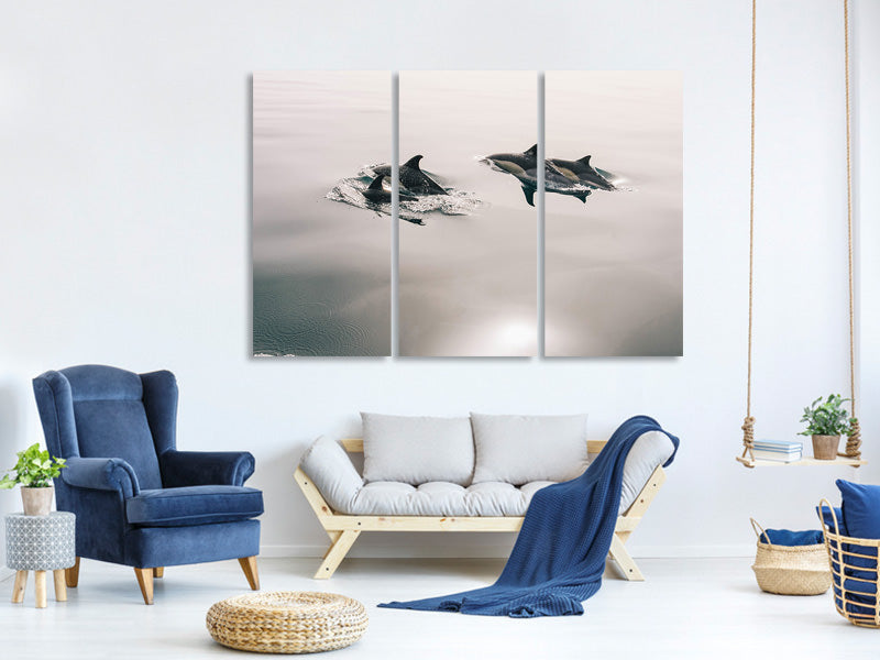 panoramic-canvas-print-the-dolphins