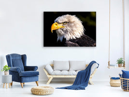 3-piece-canvas-print-the-eagle-head