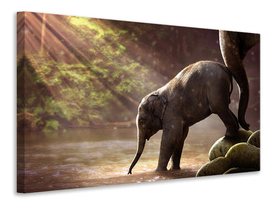 3-piece-canvas-print-the-elephant-baby