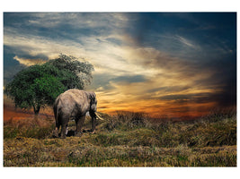 3-piece-canvas-print-the-elephant-in-the-sunset