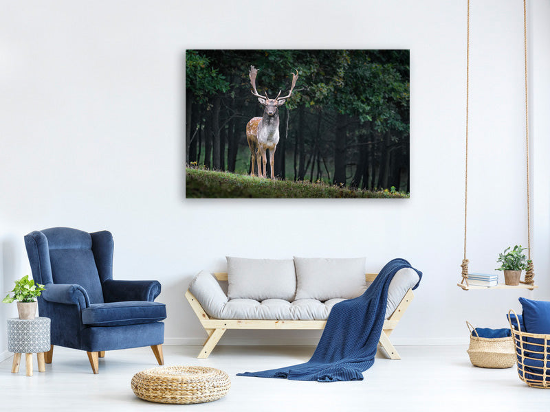 3-piece-canvas-print-the-fallow-deer-ii