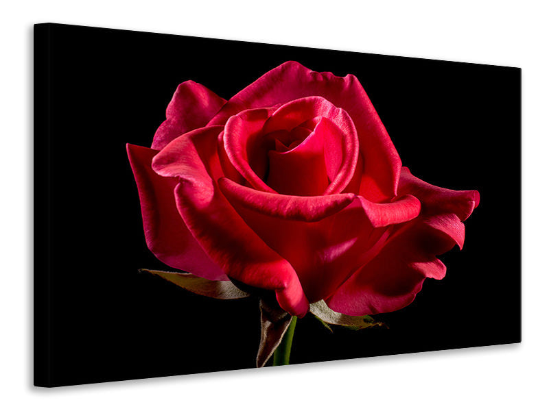 3-piece-canvas-print-the-flower-of-love