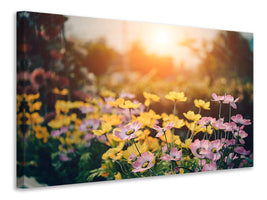 3-piece-canvas-print-the-flowers