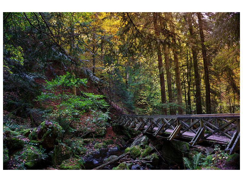 3-piece-canvas-print-the-forest-bridge