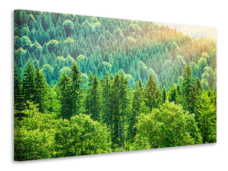 modern-3-piece-canvas-print-the-forest-hill