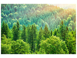 modern-3-piece-canvas-print-the-forest-hill