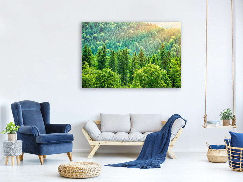 modern-3-piece-canvas-print-the-forest-hill
