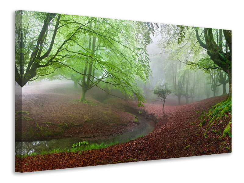 modern-4-piece-canvas-print-the-forest-maravillador-iii