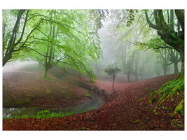 5-piece-canvas-print-the-forest-maravillador-iii