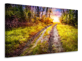modern-4-piece-canvas-print-the-forest-path