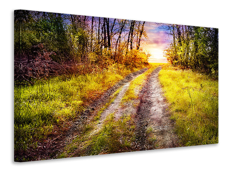 4-piece-canvas-print-the-forest-path